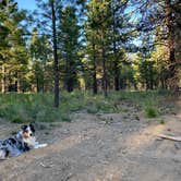 Review photo of Deschutes National Forest Dispersed Camping Spot - PERMANENTLY CLOSED by Christopher J., June 28, 2022