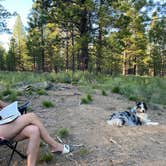 Review photo of Deschutes National Forest Dispersed Camping Spot - PERMANENTLY CLOSED by Christopher J., June 28, 2022