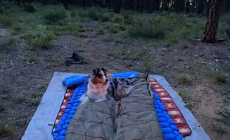 Christopher J.'s photo of a dispersed camping area at Deschutes National Forest Dispersed Camping Spot - PERMANENTLY CLOSED near Fort Rock, OR