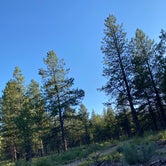 Review photo of Deschutes National Forest Dispersed Camping Spot - PERMANENTLY CLOSED by Christopher J., June 28, 2022