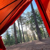 Review photo of Bear Willow Road Dispersed Camping by Paige C., June 28, 2022