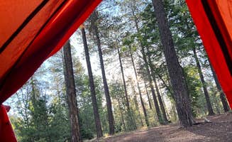 Paige C.'s photo of a dispersed camping area at Bear Willow Road Dispersed Camping in Arizona