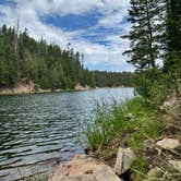 Review photo of Bear Willow Road Dispersed Camping by Paige C., June 28, 2022