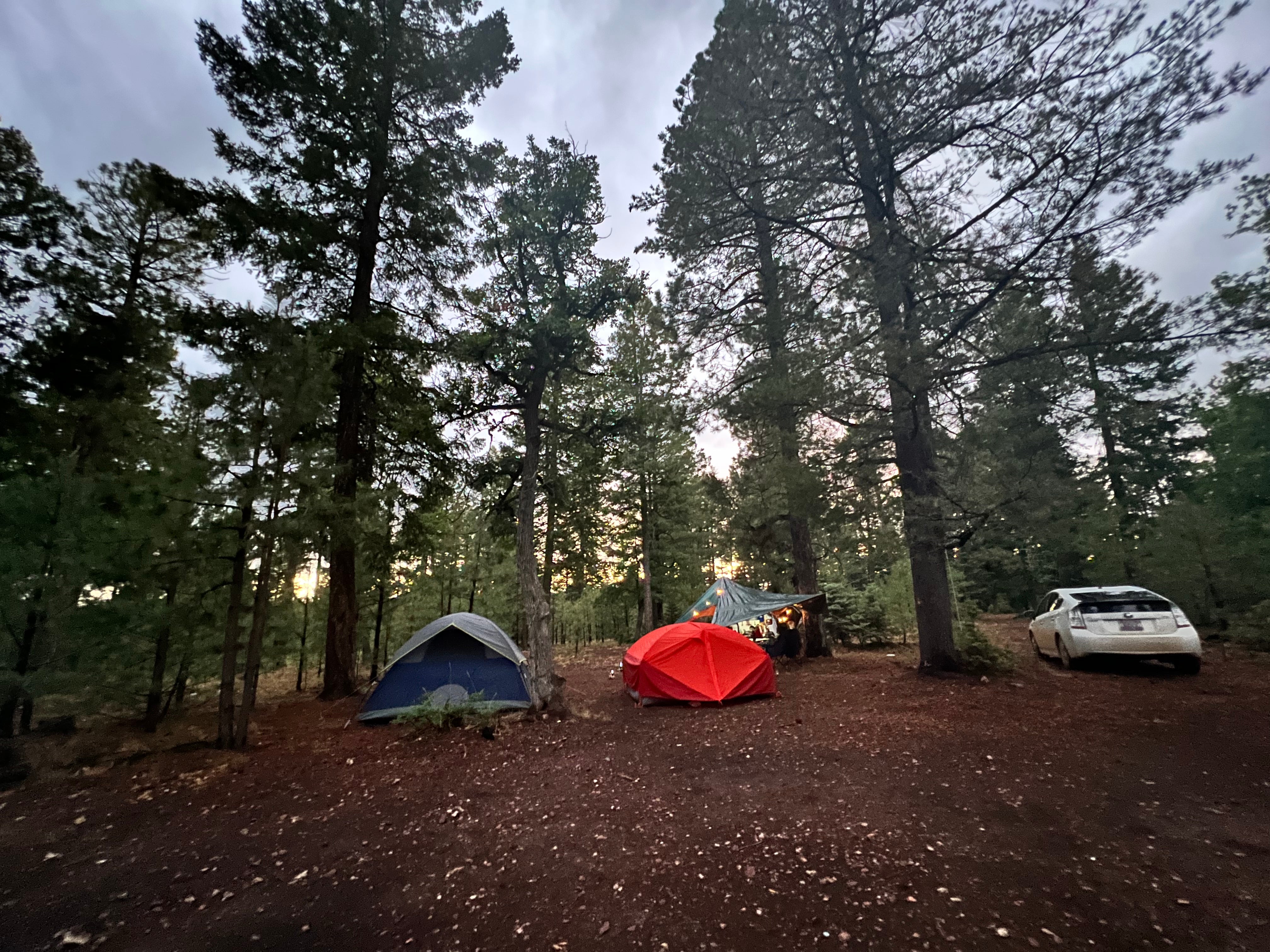 Camper submitted image from Bear Willow Road Dispersed Camping - 1