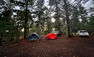Camping near Old Rim Road Dispersed Site: Bear Willow Road Dispersed Camping, Forest Lakes, Arizona