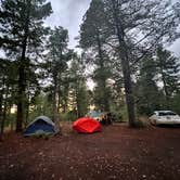 Review photo of Bear Willow Road Dispersed Camping by Paige C., June 28, 2022