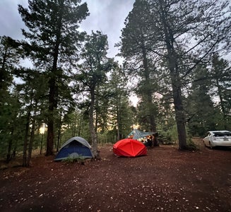 Camper-submitted photo from Bear Willow Road Dispersed Camping