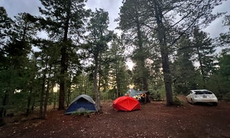 Bear Willow Road Dispersed Camping