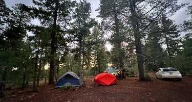 Bear Willow Road Dispersed Camping
