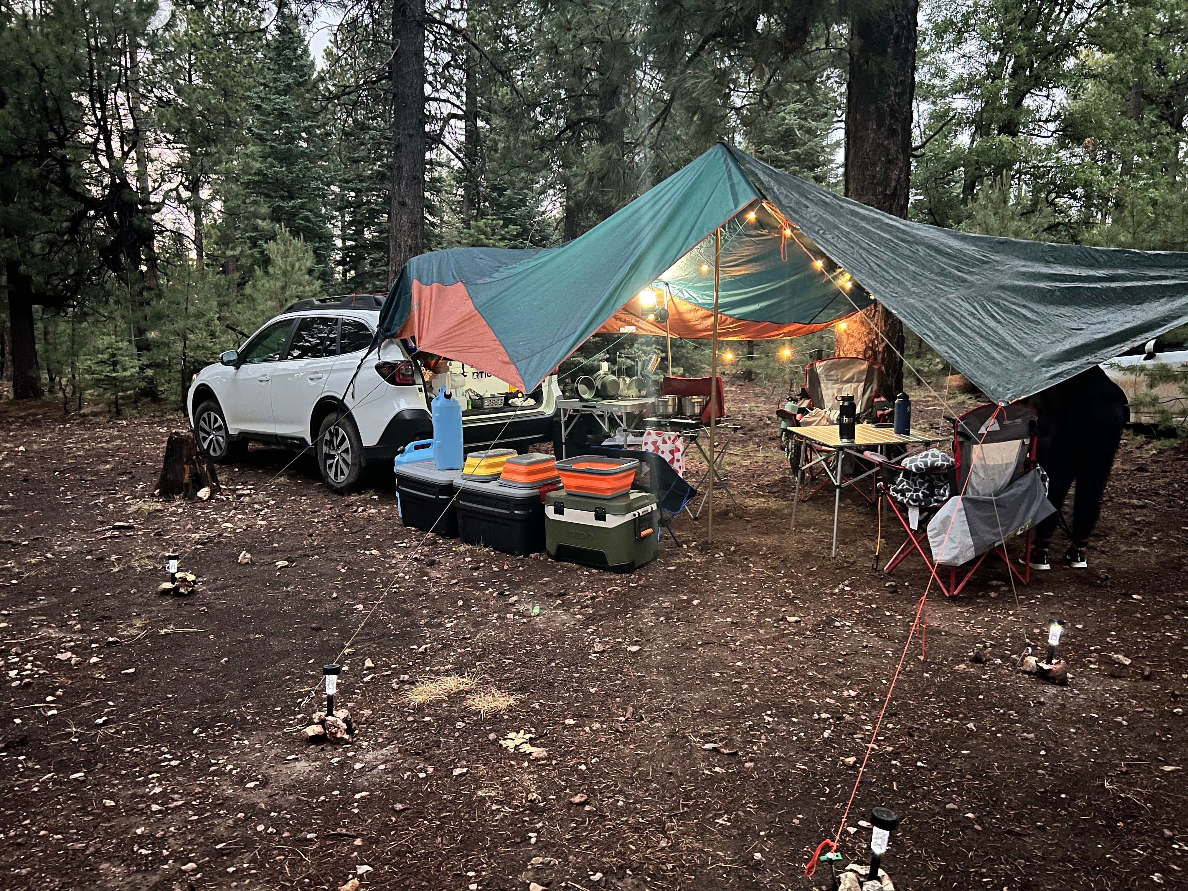 Paige C.'s photo of a dispersed camping area at Bear Willow Road Dispersed Camping near Forest Lakes, AZ
