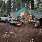 Review photo of Bear Willow Road Dispersed Camping by Paige C., June 28, 2022
