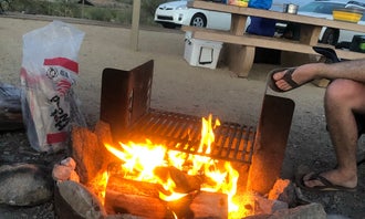 Roadrunner Campground - Lake Pleasant