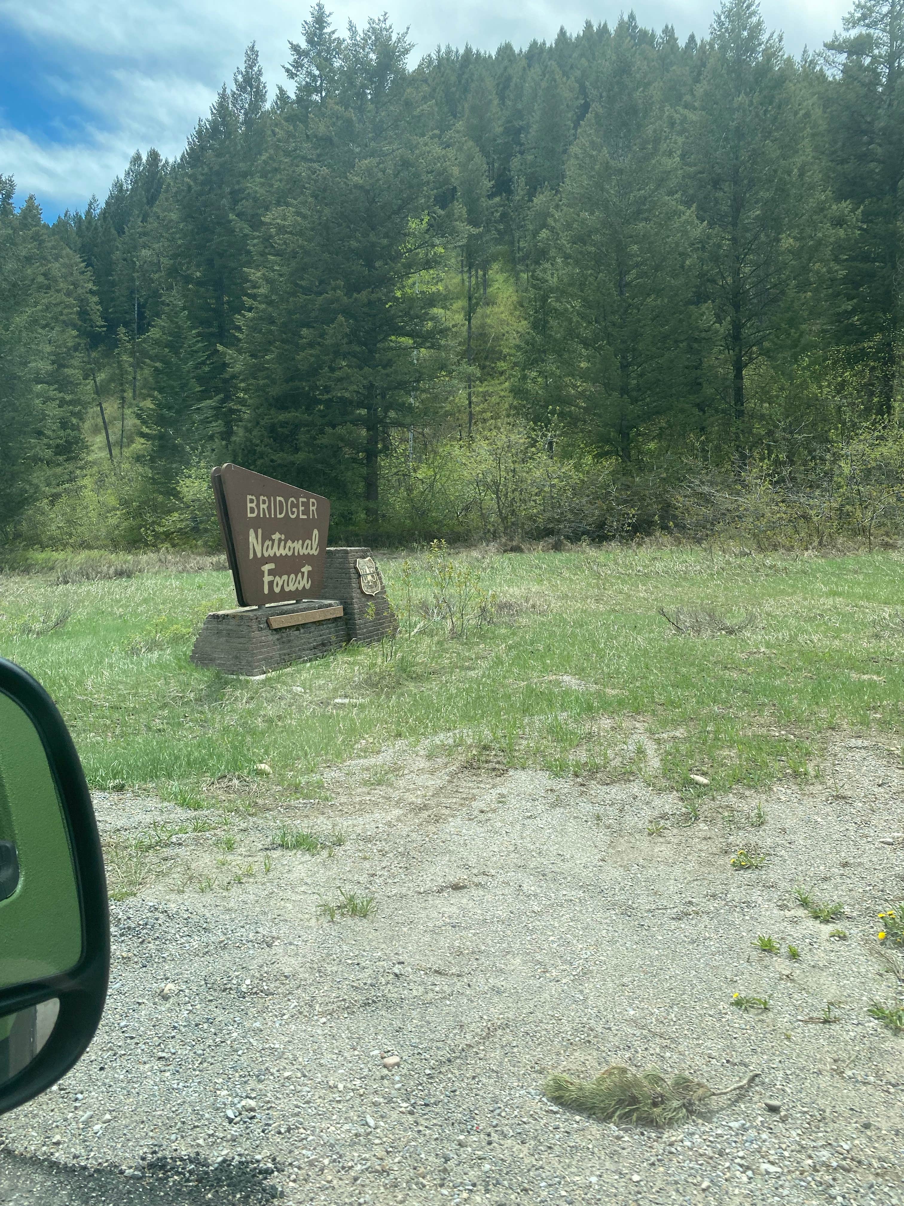 Camper submitted image from Greys River Corridor - 2