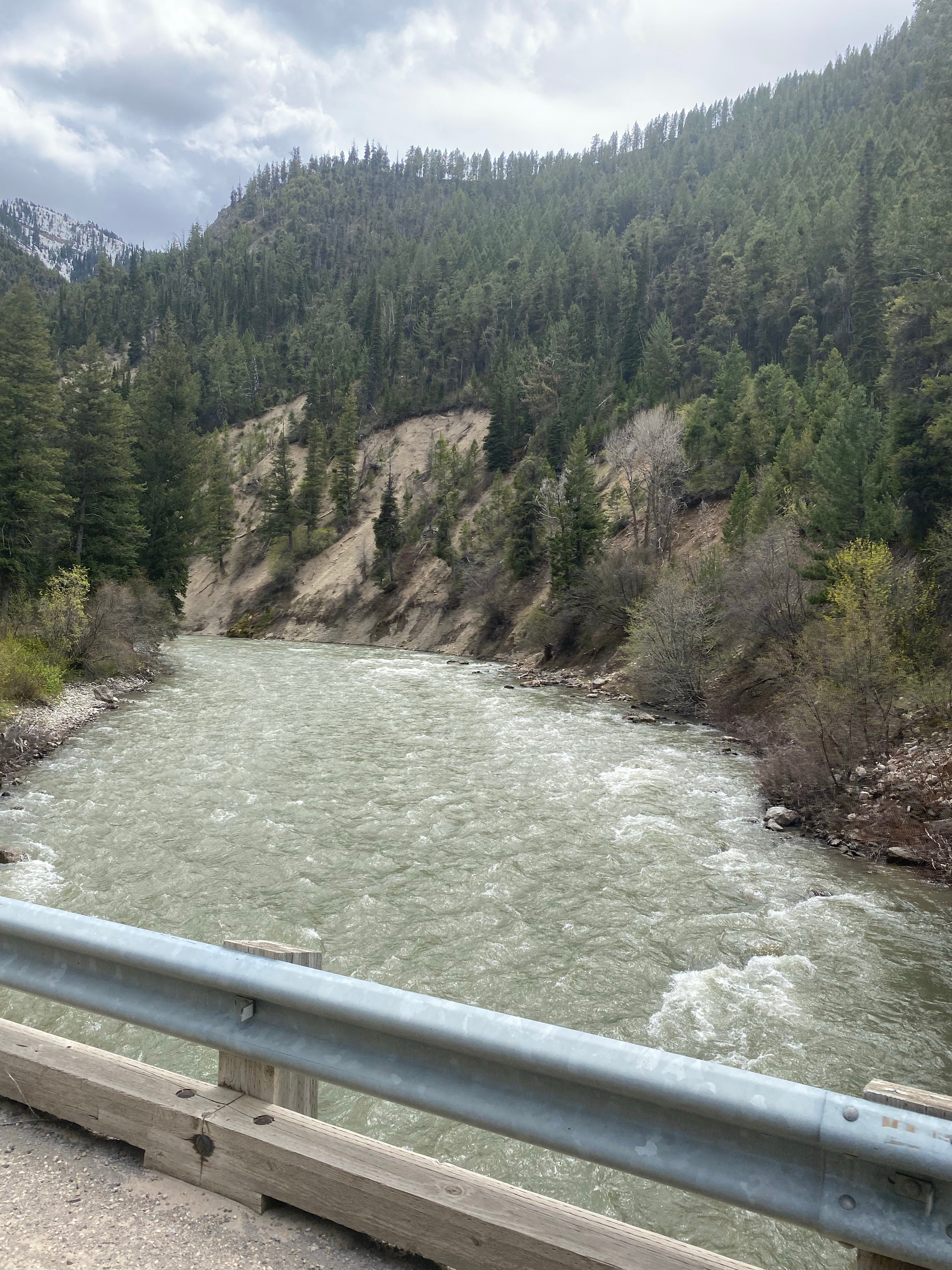 Camper submitted image from Greys River Corridor - 4