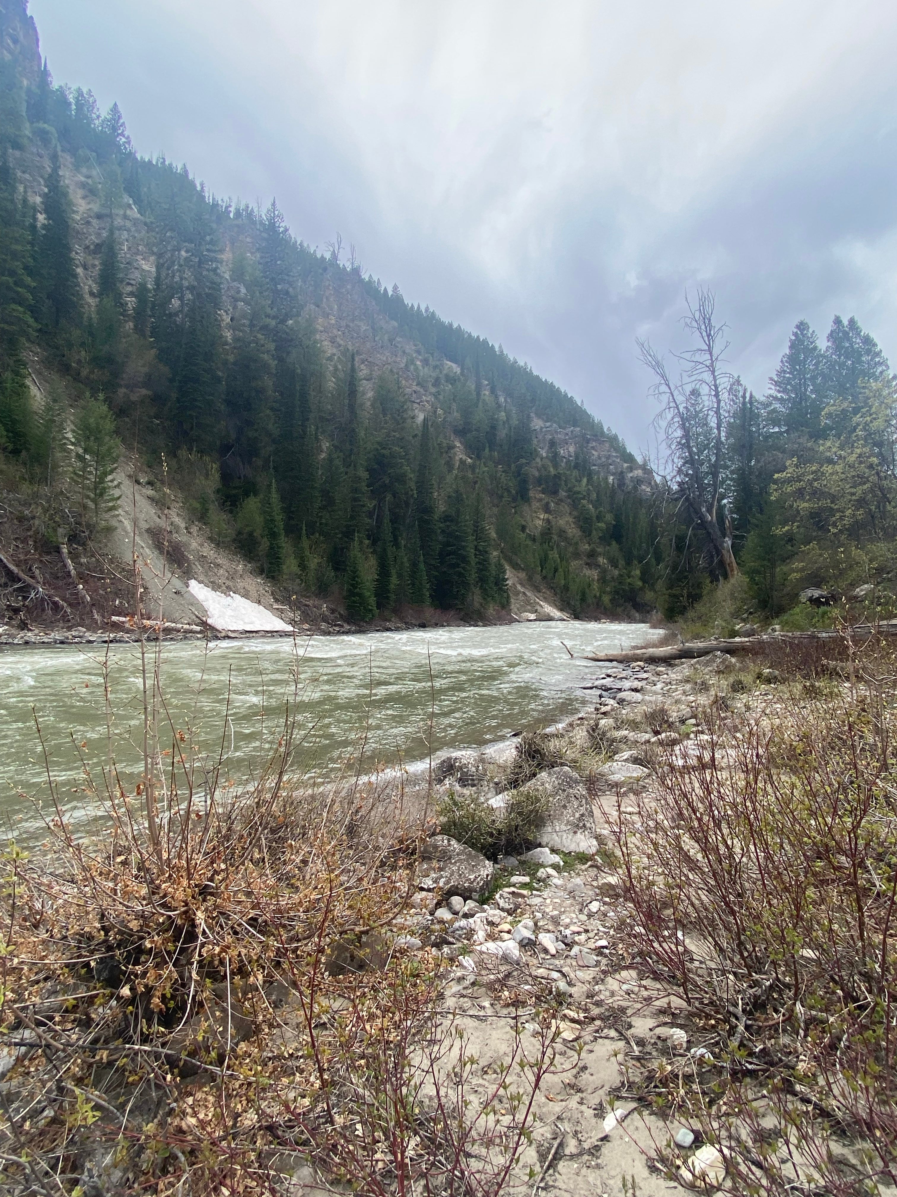 Camper submitted image from Greys River Corridor - 3