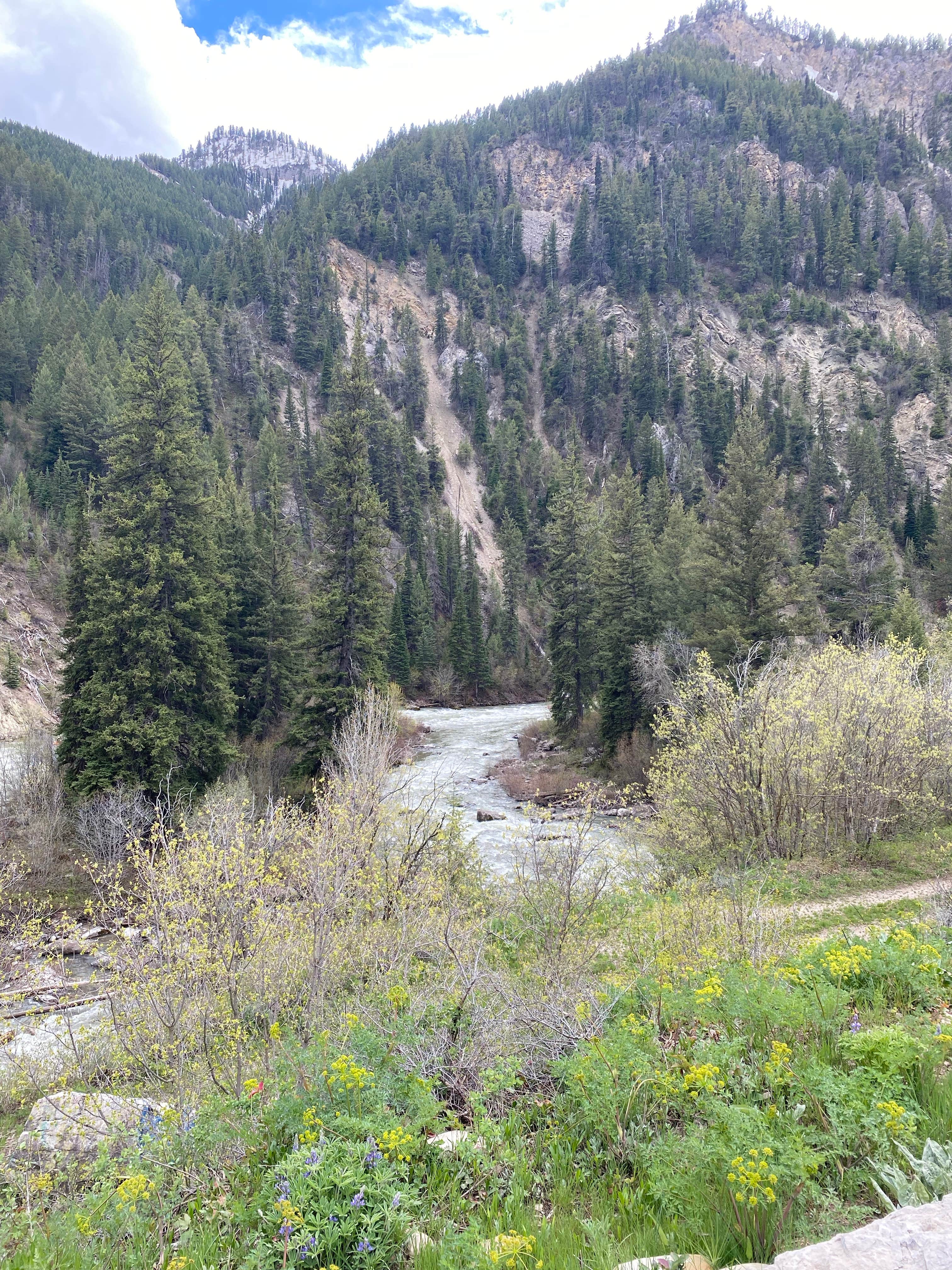Camper-submitted photo at Greys River Corridor near Grover, WY
