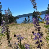 Review photo of Bell Bay Campground by Petra C., June 28, 2022