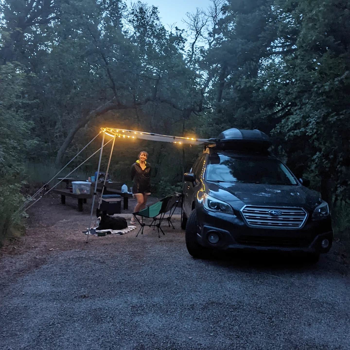 Camper submitted image from Maple Grove - 3