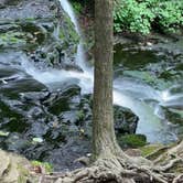 Review photo of Ricketts Glen State Park Campground by Aida K., June 28, 2022