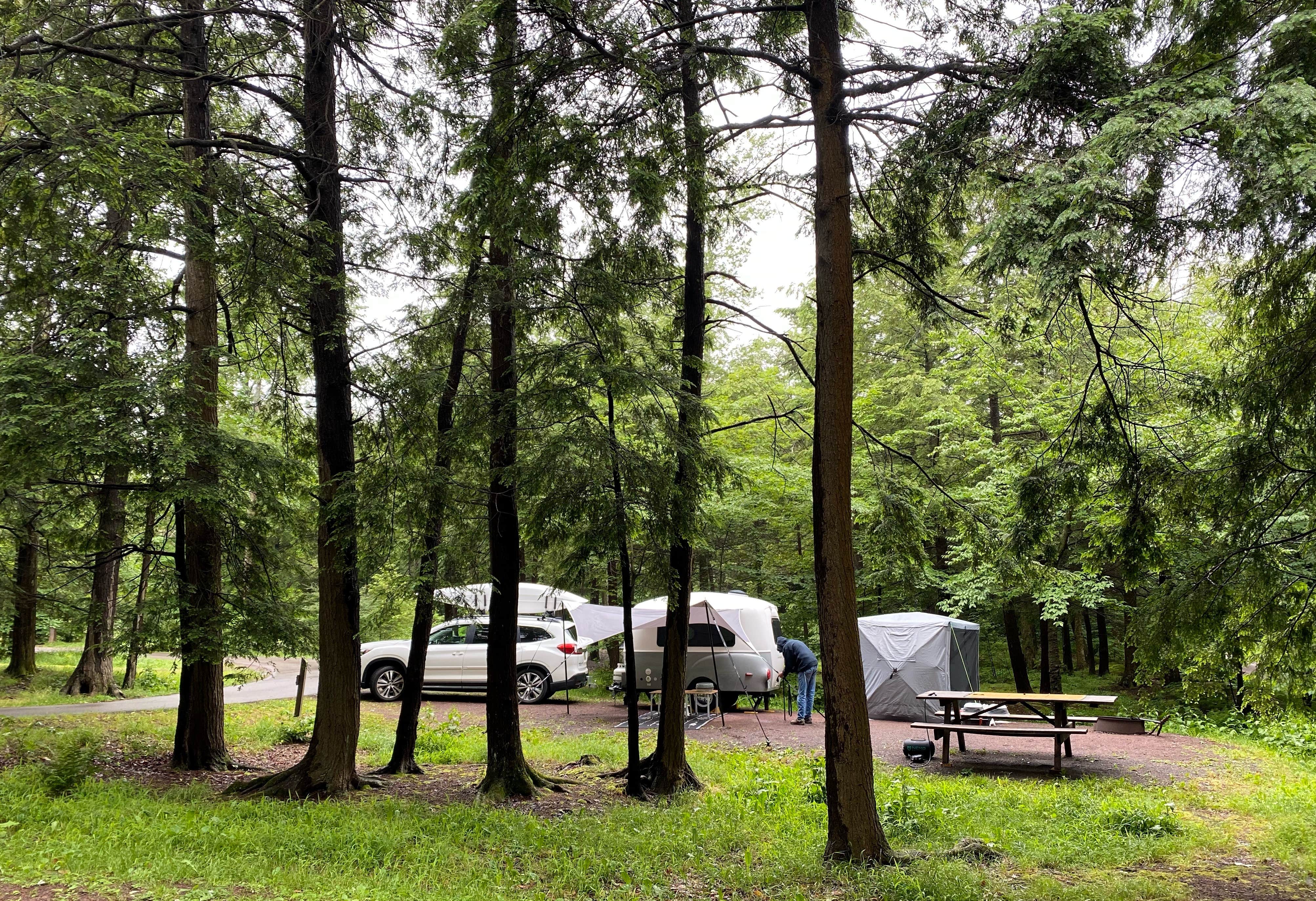 Camper submitted image from Ricketts Glen State Park Campground - 1
