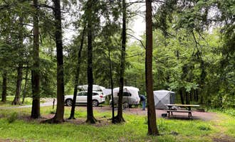 Camping near Royal Rock Equestrian Center: Ricketts Glen State Park Campground, Sweet Valley, Pennsylvania