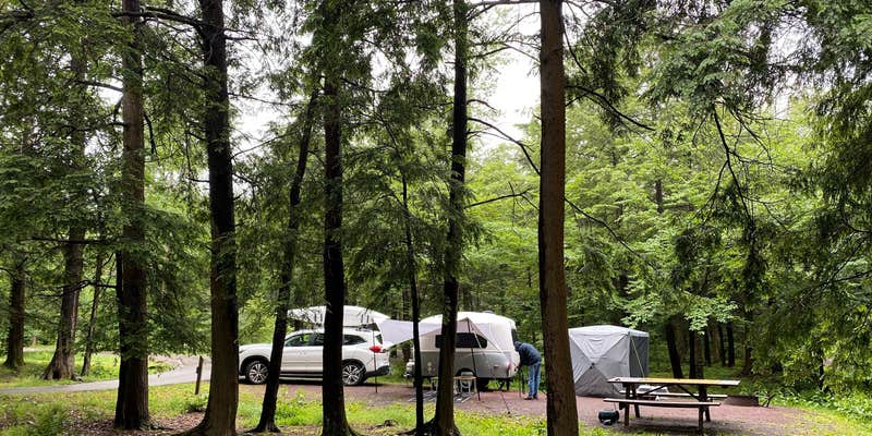 Camper submitted image from Ricketts Glen State Park Campground