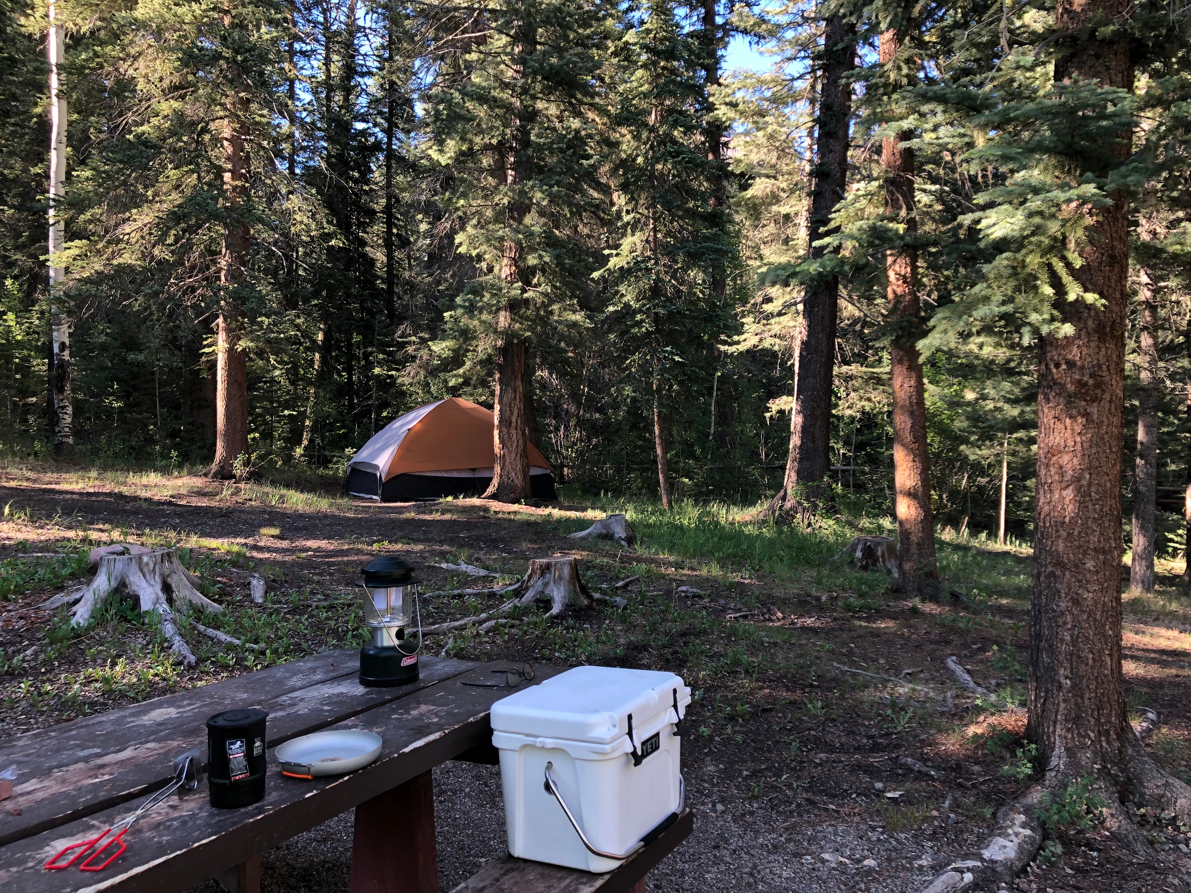 Camper submitted image from Cimarrona Campground - 1