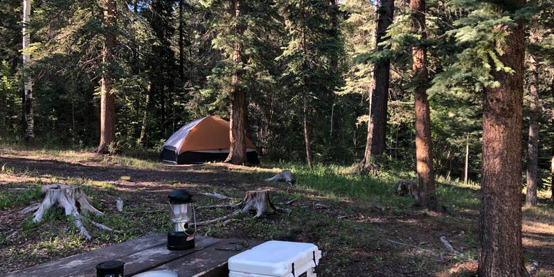 Camper submitted image from Cimarrona Campground