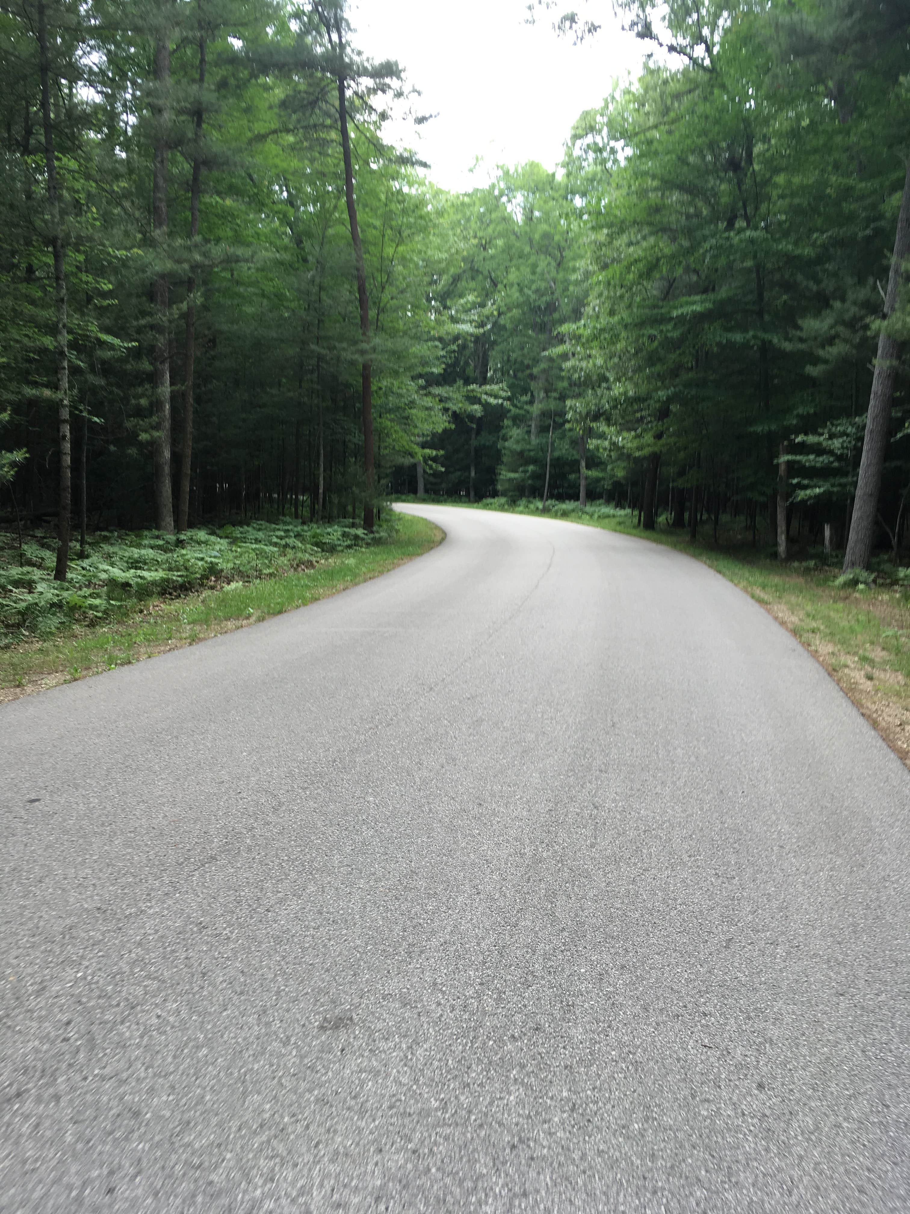 Camper submitted image from Muskegon County Pioneer County Park - 4