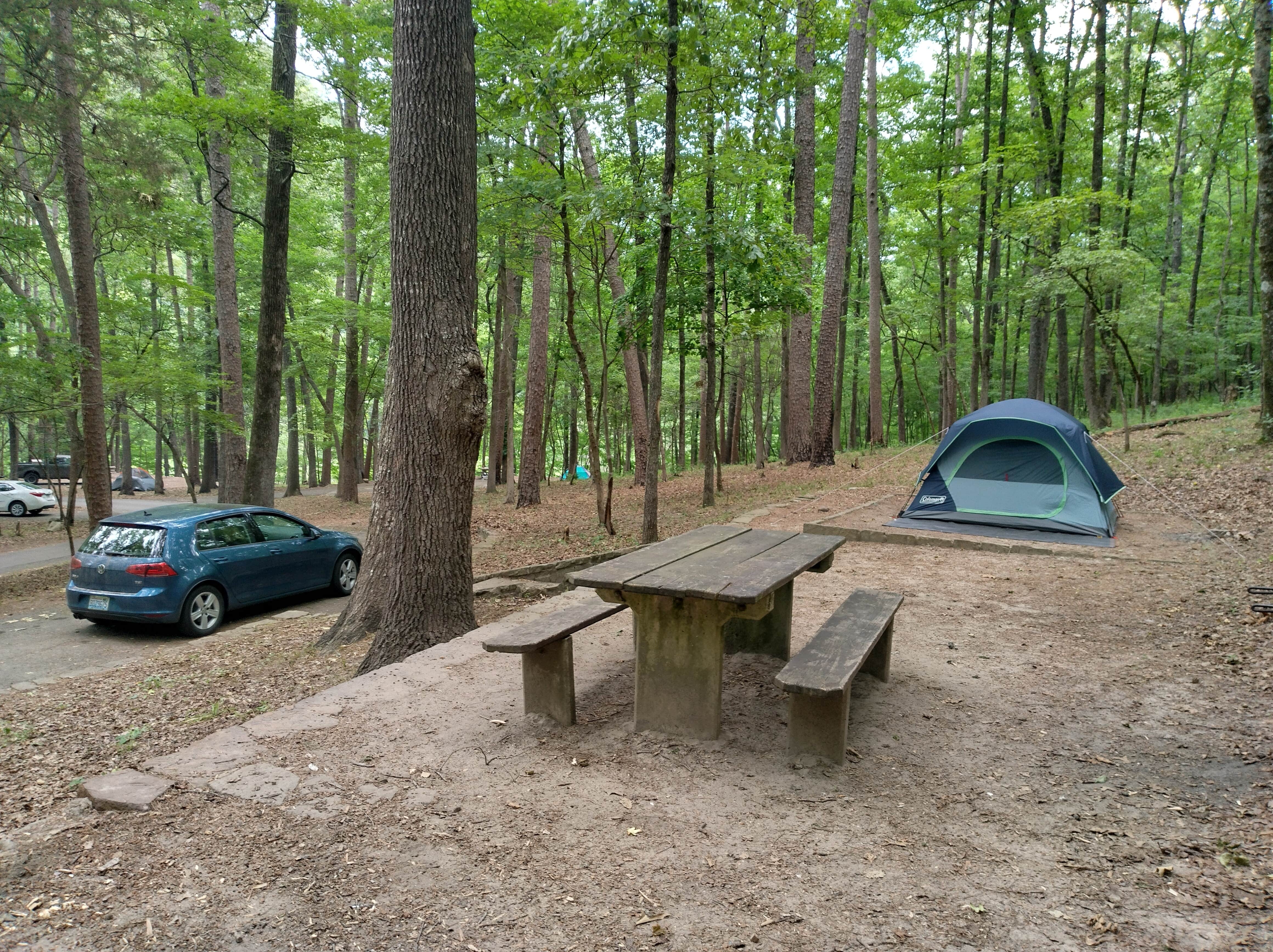 Alex M.'s photo at Blanchard Springs Recreation Area — Ozark St. Francis National Forests near Harriet, AR