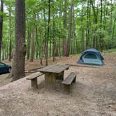 Review photo of Blanchard Springs Recreation Area — Ozark St. Francis National Forests by Alex M., June 28, 2022