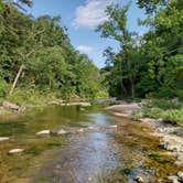 Review photo of Blanchard Springs Recreation Area — Ozark St. Francis National Forests by Alex M., June 28, 2022