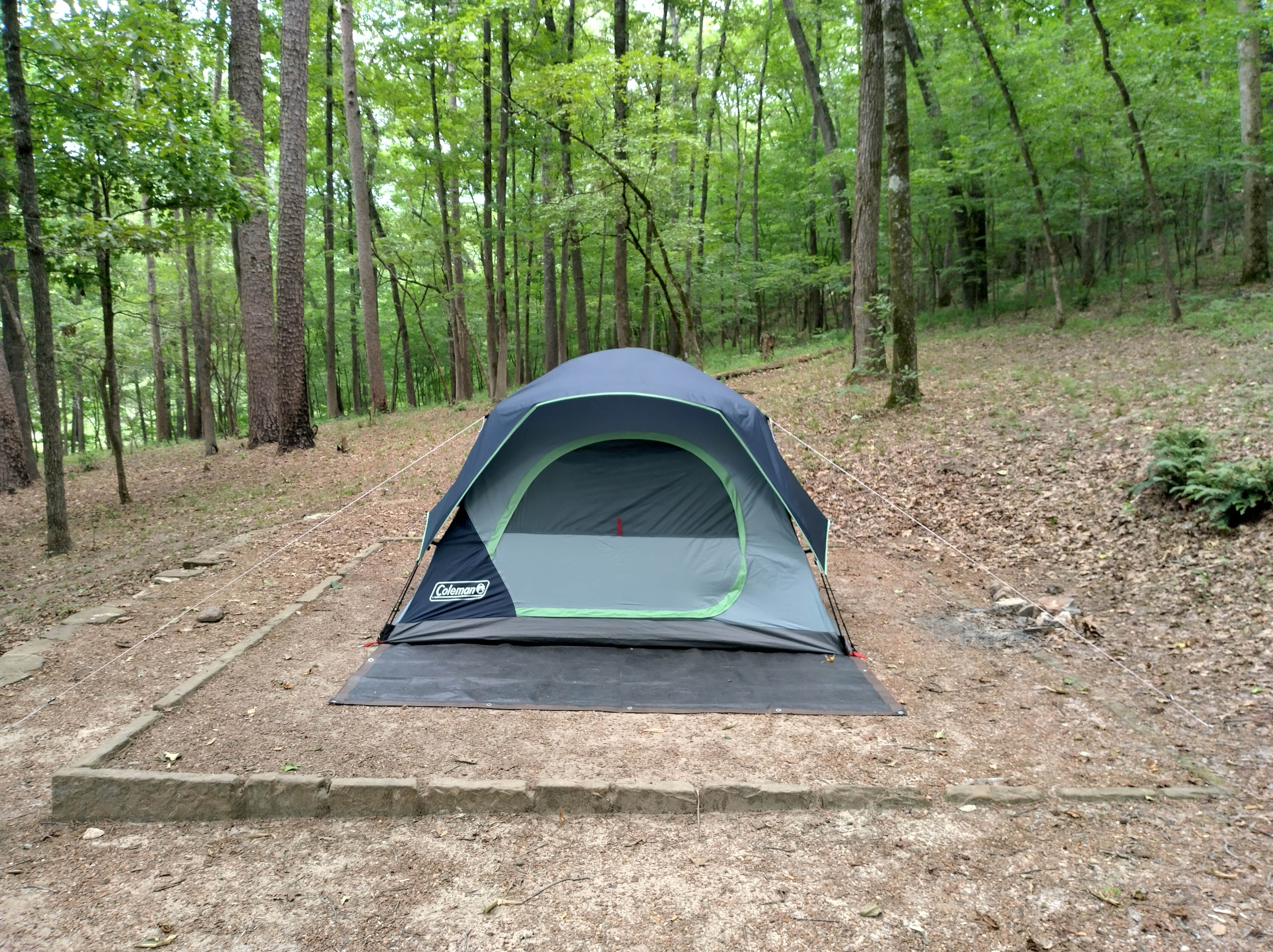 Alex M.'s photo at Blanchard Springs Recreation Area — Ozark St. Francis National Forests near Mountain View, AR