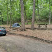 Review photo of Blanchard Springs Recreation Area — Ozark St. Francis National Forests by Alex M., June 28, 2022