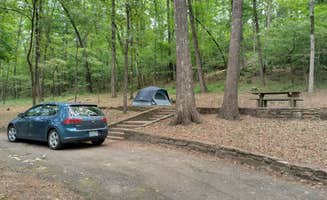 Alex M.'s photo at Blanchard Springs Recreation Area — Ozark St. Francis National Forests near Melbourne, AR