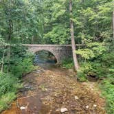 Review photo of Blanchard Springs Recreation Area — Ozark St. Francis National Forests by Alex M., June 28, 2022