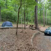 Review photo of Blanchard Springs Campgrounds by Alex M., June 28, 2022