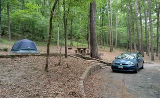 Alex M.'s photo at Blanchard Springs Recreation Area — Ozark St. Francis National Forests near Melbourne, AR