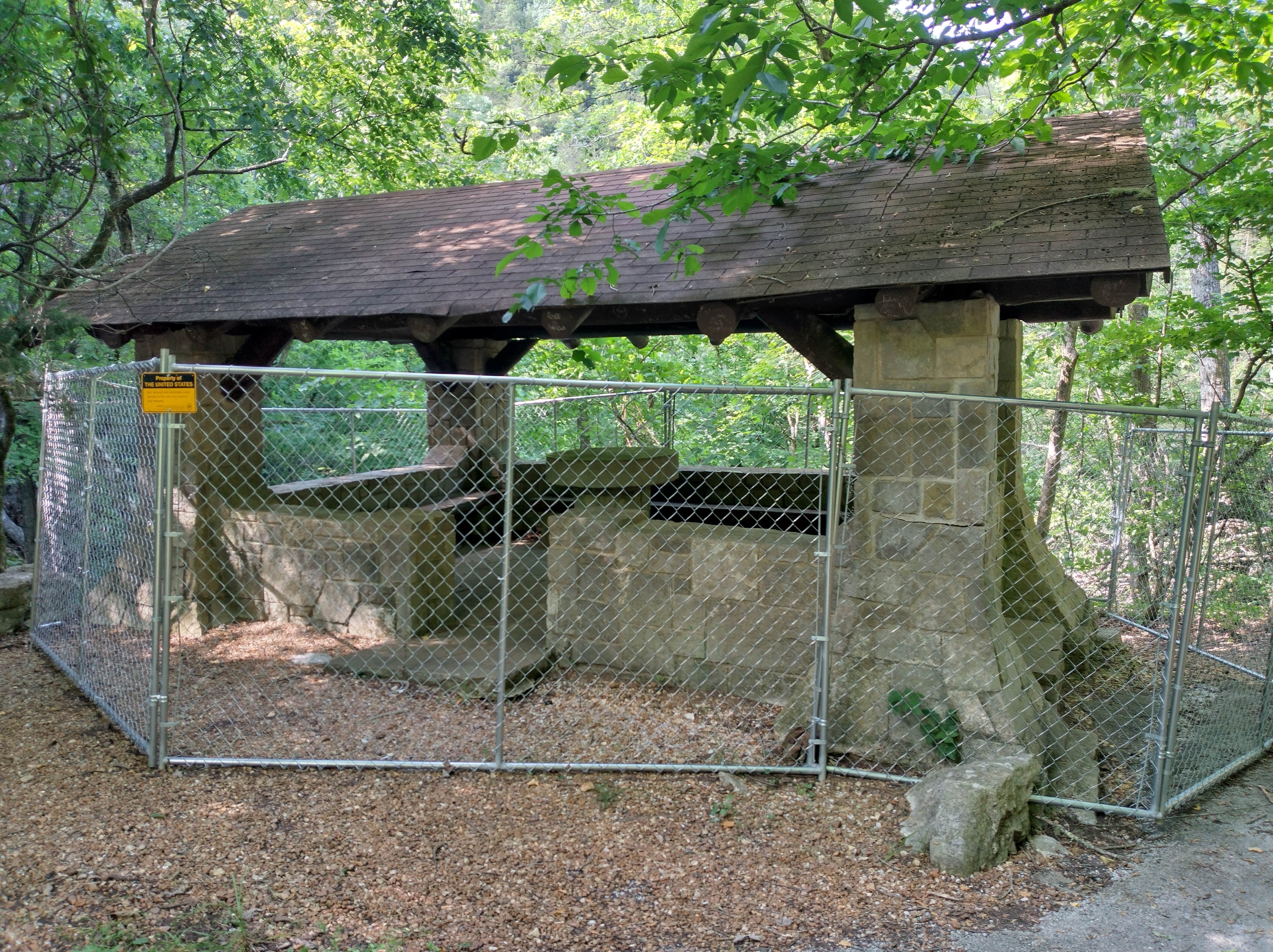 Alex M.'s photo of camping with pets at Blanchard Springs Recreation Area — Ozark St. Francis National Forests near Greers Ferry Lake