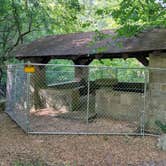 Review photo of Blanchard Springs Recreation Area — Ozark St. Francis National Forests by Alex M., June 28, 2022