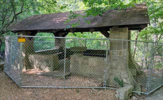 Alex M.'s photo of camping with pets at Blanchard Springs Recreation Area — Ozark St. Francis National Forests near Dennard, AR