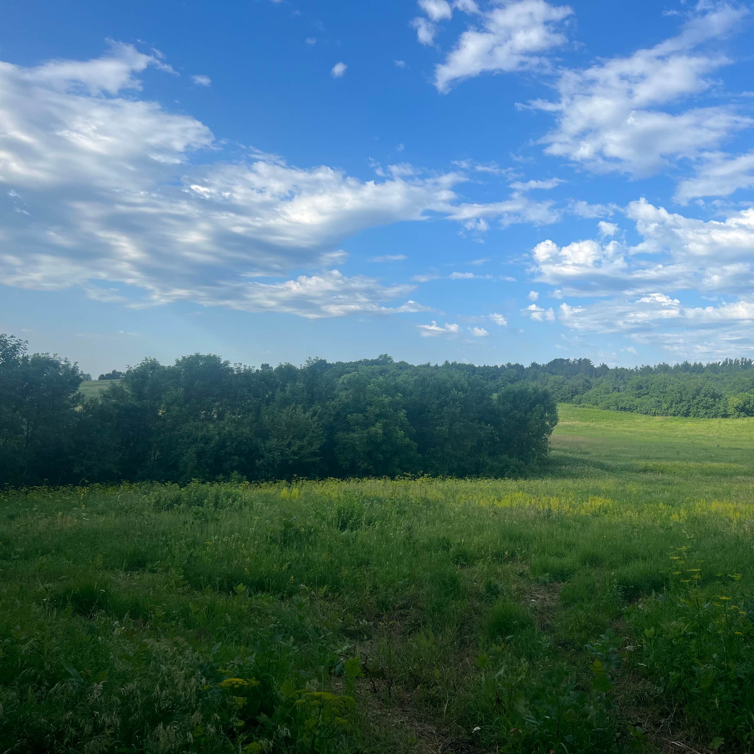 Emerson Bay State Recreation Area Camping The Dyrt
