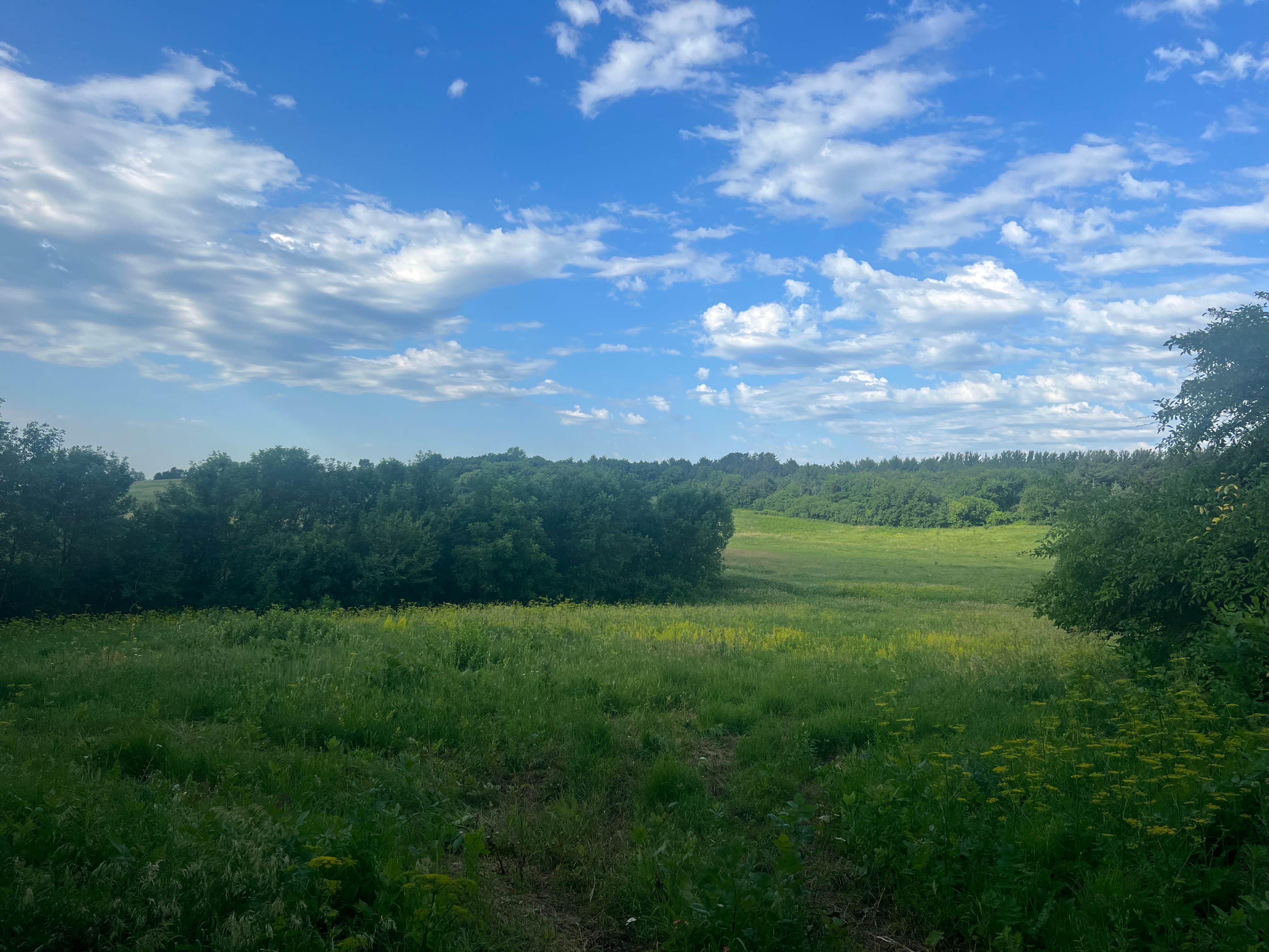 Camper submitted image from Emerson Bay State Recreation Area — Emmerson Bay State Recreation Area - 2