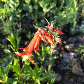 Review photo of Lost Lake Campground by Erik S., June 28, 2022