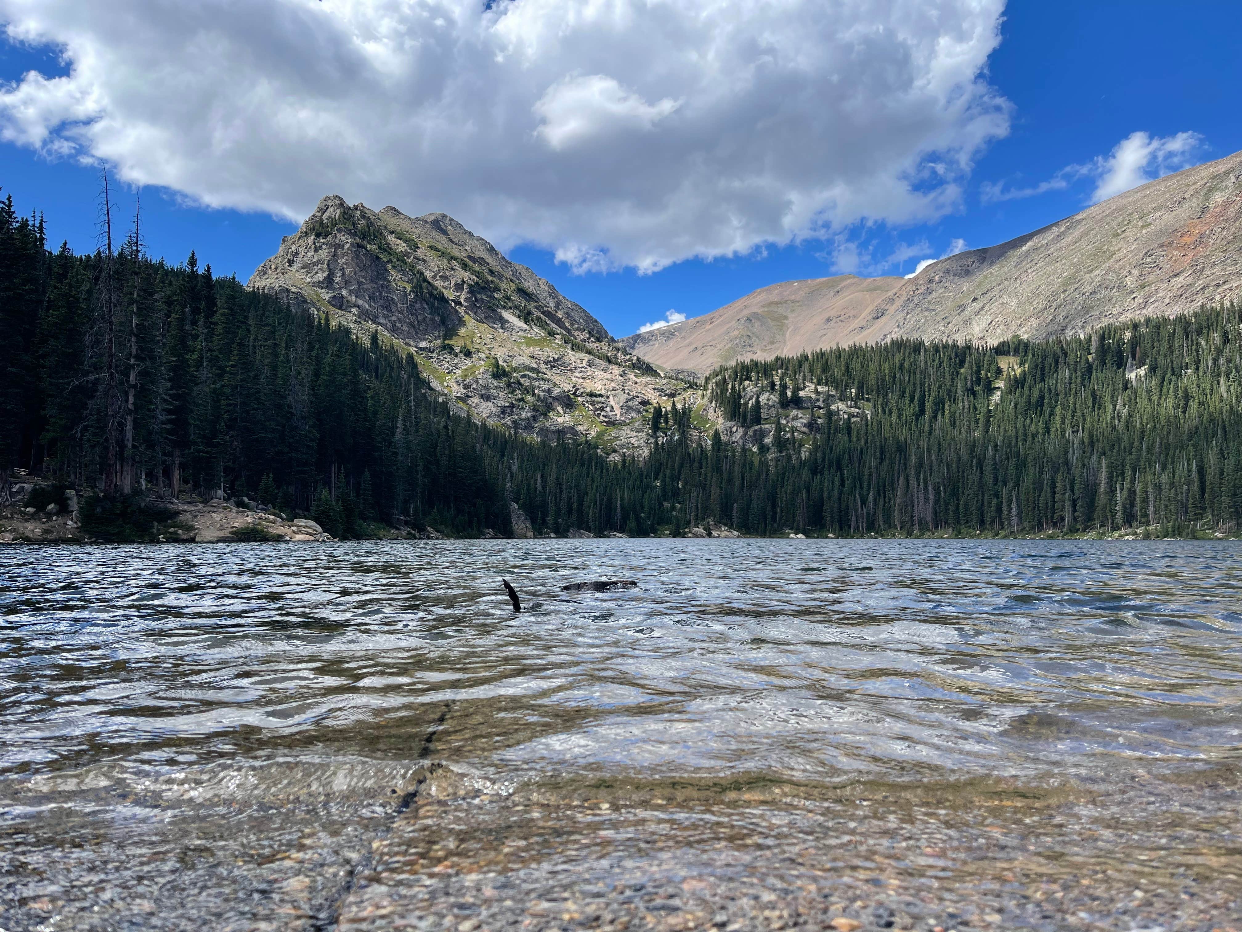 Camper submitted image from Fall River Reservoir Dispersed Camping Trail - 3