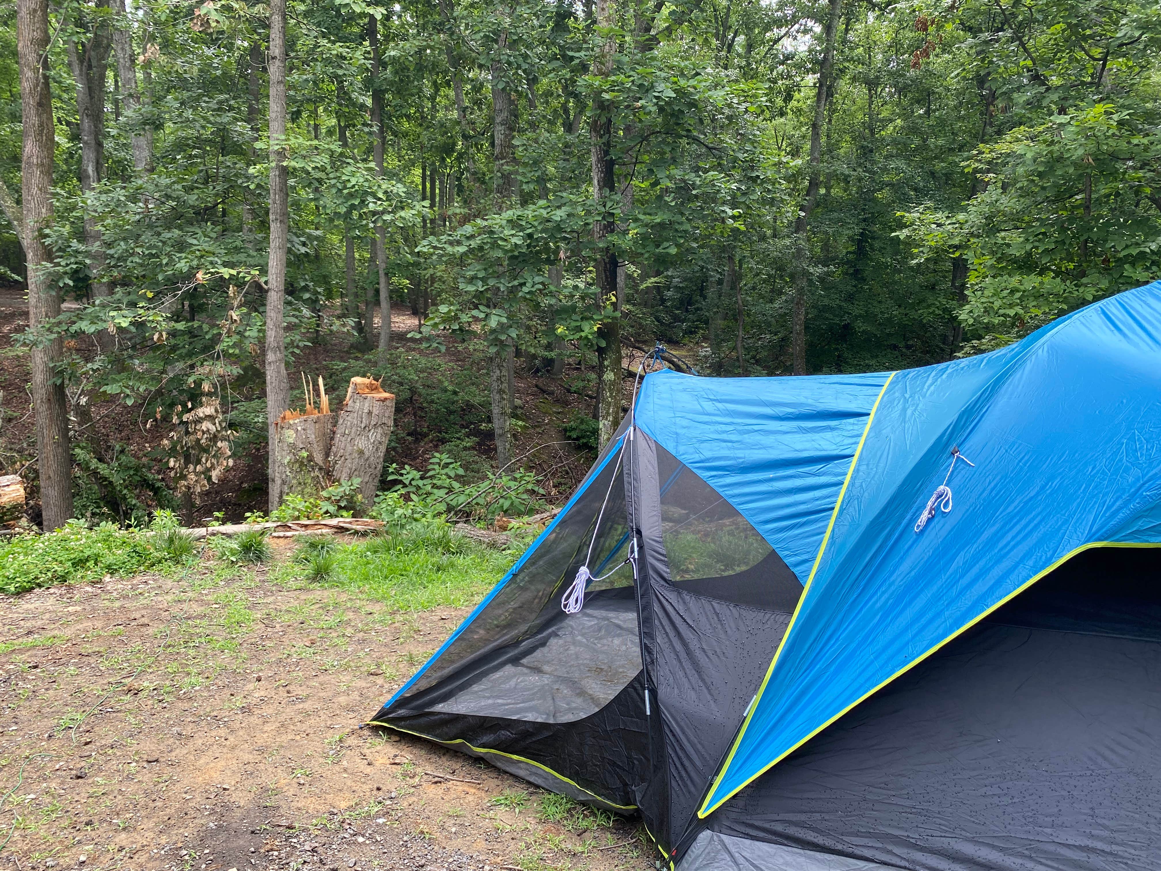New  D.'s photo at Pohick Bay Campground near Accokeek, MD