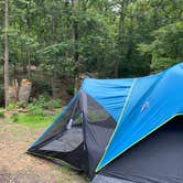 Review photo of Pohick Bay Campground by New  D., June 28, 2022