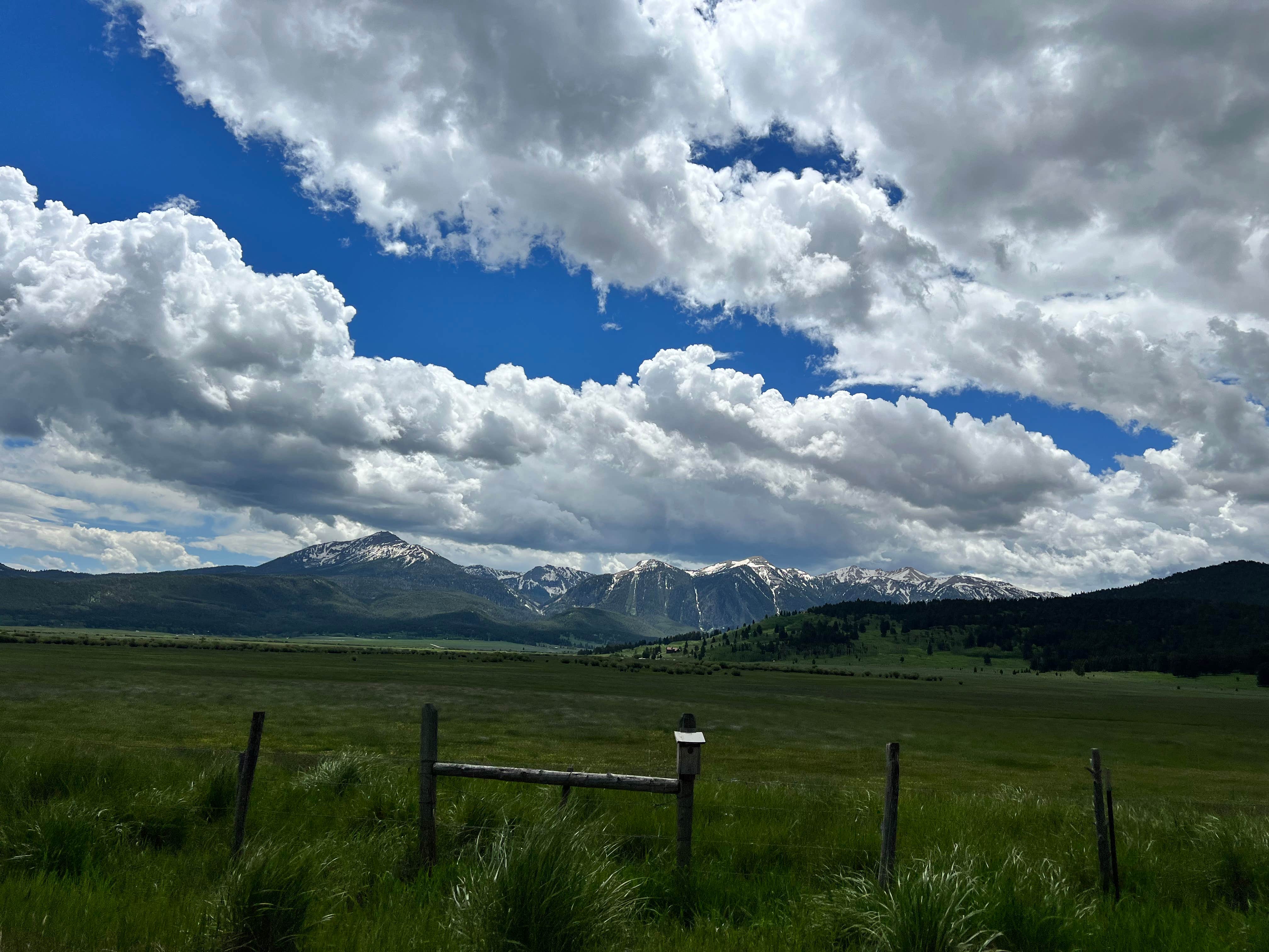 Camper-submitted photo at Henry's Lake BLM Dispersed near Macks Inn, ID