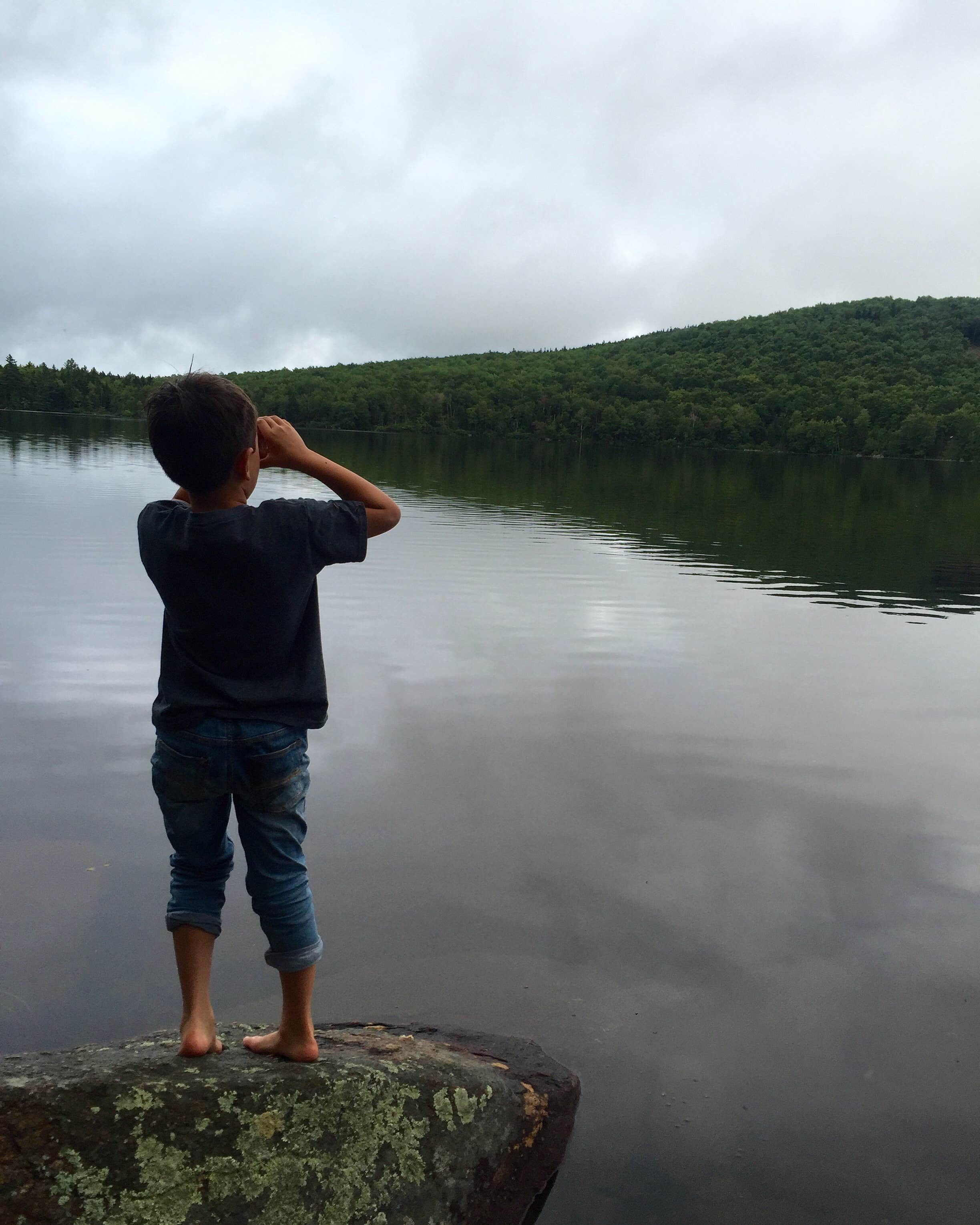 Camper submitted image from Pillsbury State Park Campground - 5