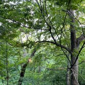 Review photo of High Cliff State Park Campground by Megan M., June 28, 2022